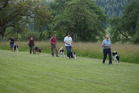 Hobbygruppe 2014