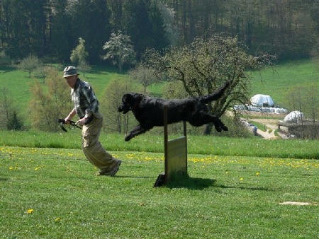 Hobbygruppe 2012
