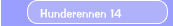 Hunderennen 14